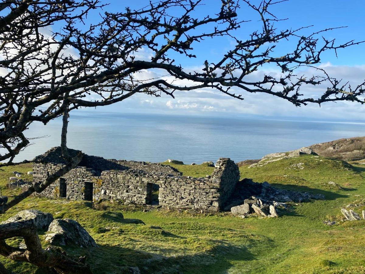 Oceandrive Bed and Breakfast Barmouth Eksteriør billede