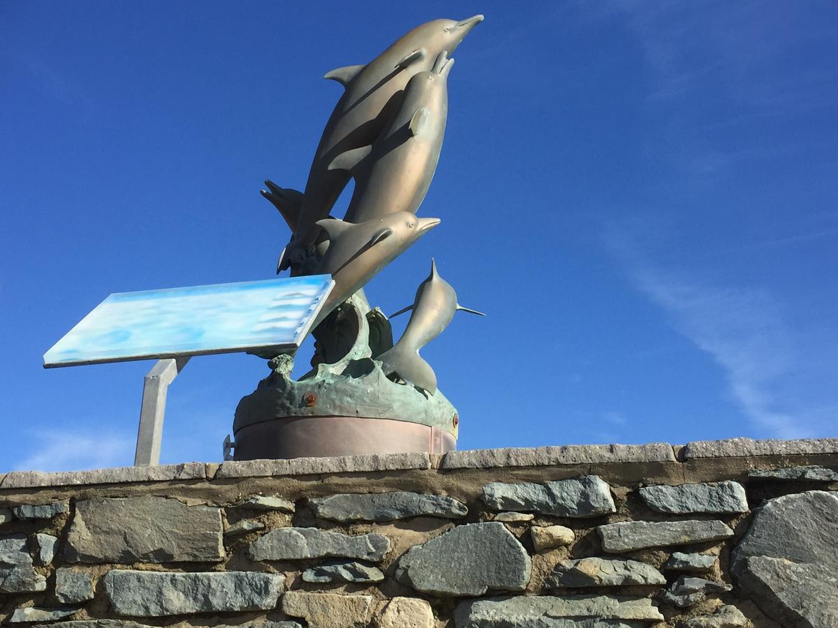 Oceandrive Bed and Breakfast Barmouth Eksteriør billede